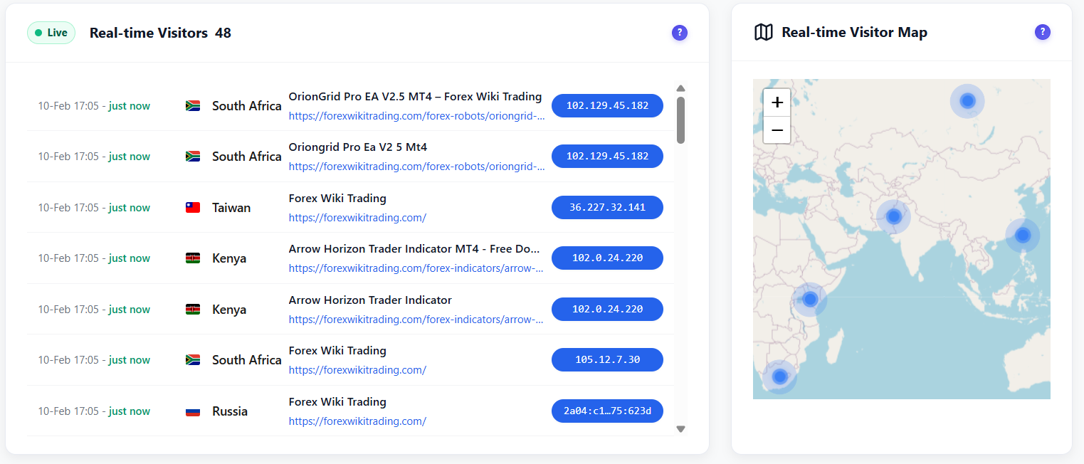 Real-time visitors with interactive world map